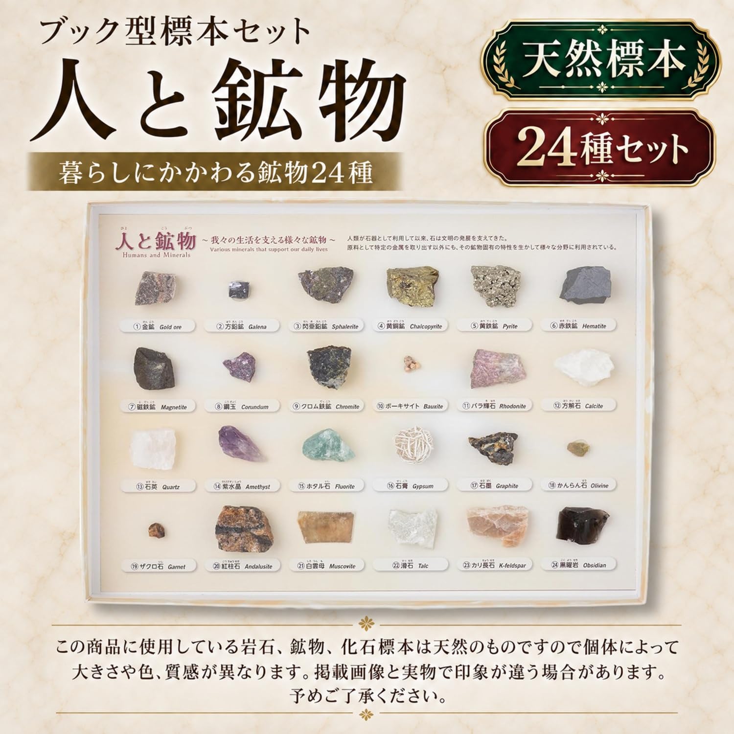 Amazon | 大江理工社(Oherikosha) ブック型標本セット 人と鉱物 | 岩石